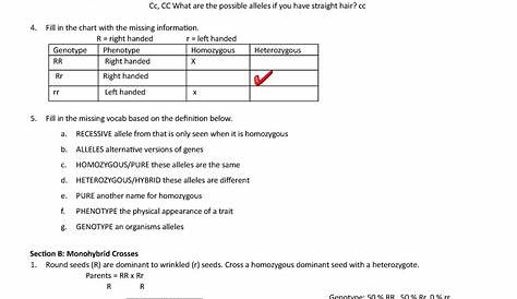 genetics terminology worksheet