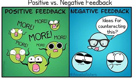 Positive and Negative Feedback - Science with The Amoeba Sisters