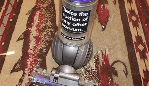 Dyson Animal DC65 Vacuum Review - Lovebugs and Postcards