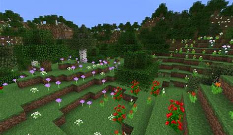 what biomes do frogs spawn in minecraft