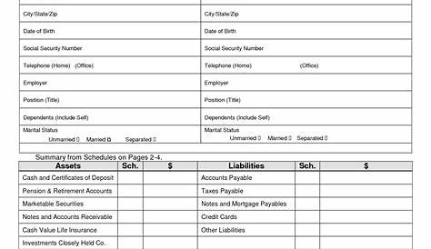 15 Best Images of Personal Financial Statement Worksheet - Printable