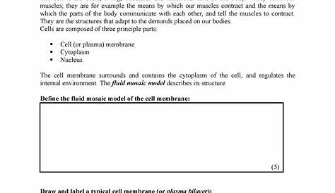 membrane function worksheet answers