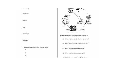 Ecology and Ecosystems Worksheets | Teaching Resources