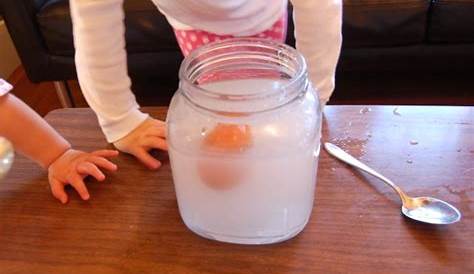 Science Experiment: The Floating Egg | TinkerLab