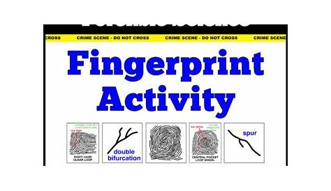 Forensic Science: Fingerprint Diagrams & Activity Worksheet | TpT