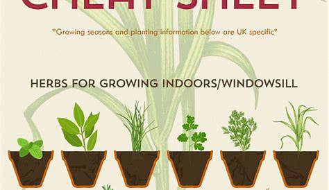 herbs to plant together chart