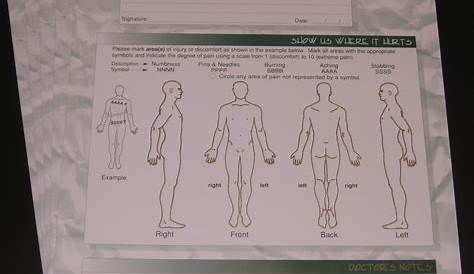 Pain Chart Body outline Chart 2CHIRO (250) – First Impression Forms