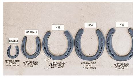 horseshoe nail size chart