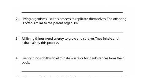 Characteristics of Living Things Worksheet