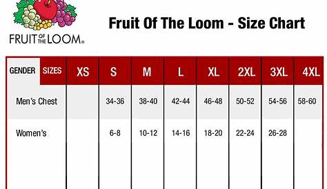 fruit of the loom size guide