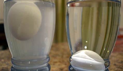 floating egg experiment for kids