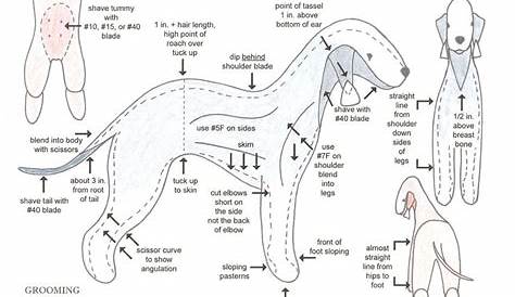 dog grooming chart | Grooming Chart | Dog Grooming | Pinterest | Chart