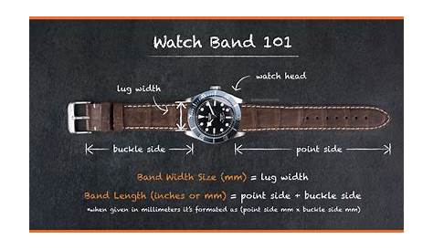 watch band length size chart