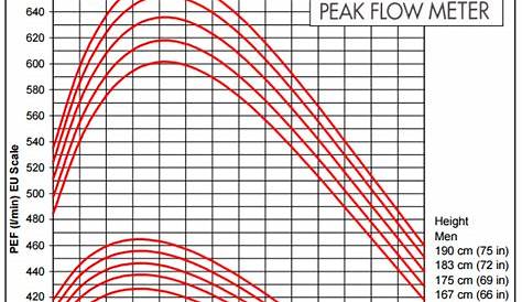 Wiring Anda Diagram Photo: Peak Flow Zone Chart Asthma