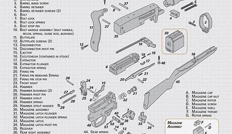 Exploded View: Ruger 10/22 Carbine | An Official Journal Of The NRA