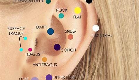 Ear piercings chart, Cool ear piercings, Ear piercings
