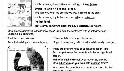 Adjectives Worksheet for 3rd Grade | Lesson Planet