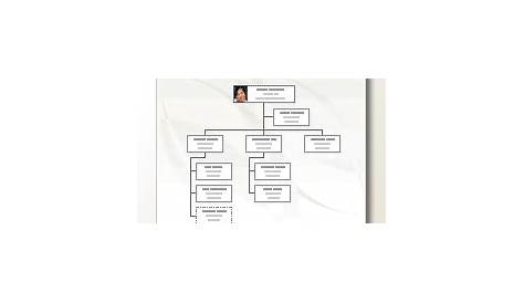 Download Microsoft Visio Organizational Chart Template free - sydneyfile