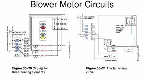 blower motor circuit diagram