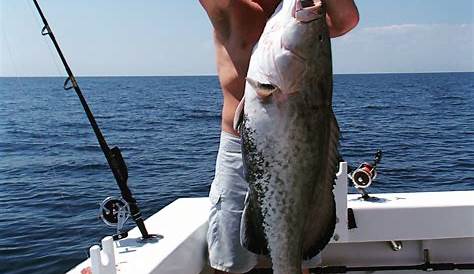 Destin Florida Fishing Guides PNG - Nopapi