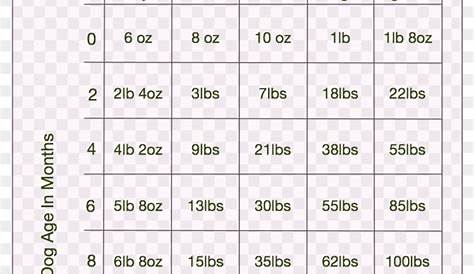 growth chart for labrador retrievers