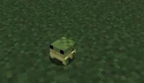 what do the frogs in minecraft eat