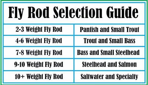 What Is A 6 Weight Fly Rod Good For? (We Find Out Here!) - Guide