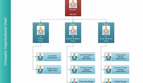 functional organizational structure chart