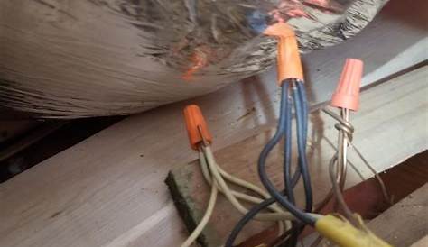 Homeowner wiring. Sure you can fit four 12 gauge wires in orange nuts