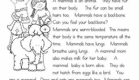 mammal worksheet for first grade