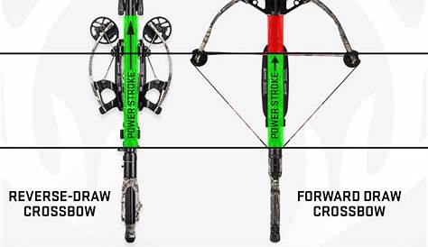 The Best Crossbow Bolt Weight for Your Specific Hunting Crossbow | Deer