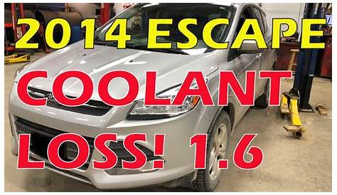2014 Ford Escape 1.6 Coolant loss,Misfire running rough - YouTube