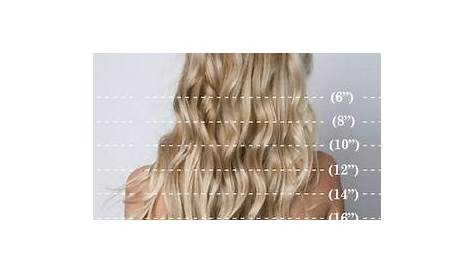 Hair Lengths | Hair lengths, Hair beauty, Hair