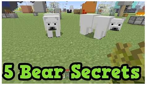 How To Breed Polar Bears In Minecraft Java