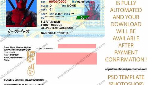 Tennessee Driver License Template - ALL PSD TEMPLATES