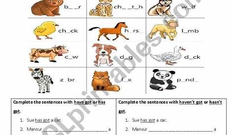 has/have worksheets - ESL worksheet by huongtong14@gmail.com