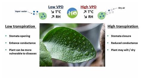 atmospheric vapor pressure deficit