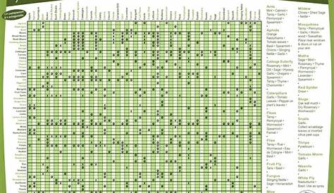 companion planting chart pdf