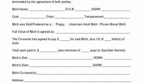 Transfer Of Ownership Agreement Template Lovely 1 Pany Contract