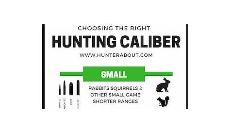 hunting rifle caliber chart