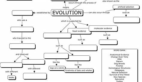 evolution by natural selection answers