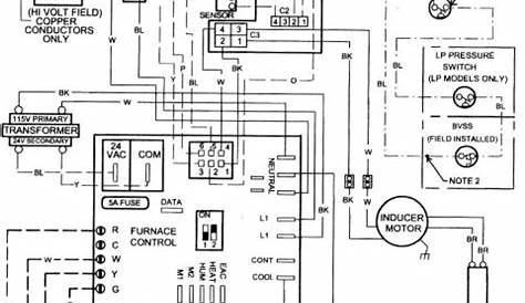 goodman defrost board wiring diagram