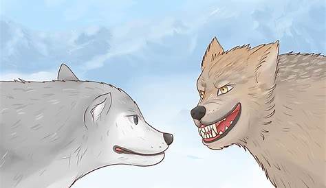 How to Understand Wolf Body Language - wikiHow