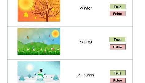 Weather And Season Worksheet