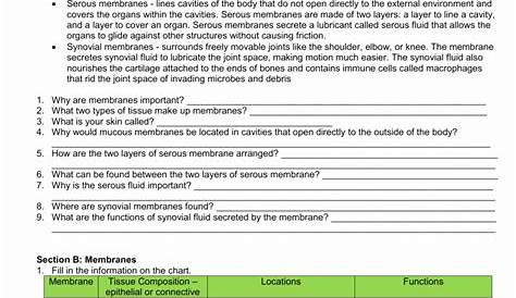 50 Integumentary System Worksheet Answers