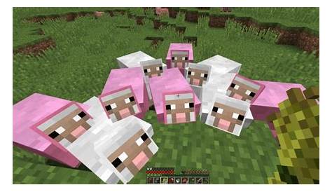 Top 5 Rarest Mobs In Minecraft | From Brown Panda To Pink Sheep