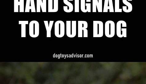 hand signals dog training chart