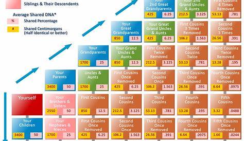 Consanguinity Chart With Average DNA Shared | johnjt44 | Flickr