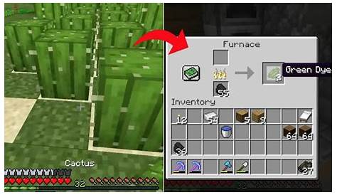 How to Make Green Dye in Minecraft - VGKAMI