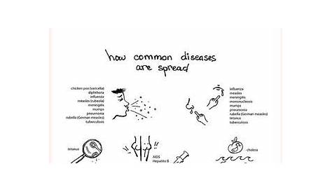 Printable Communicable And Noncommunicable Diseases Worksheet